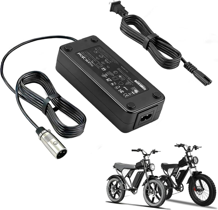 54.6V Charger for Ridstar Q20 Series